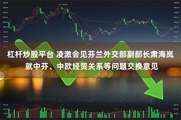 杠杆炒股平台 凌激会见芬兰外交部副部长肃海岚 就中芬、中欧经贸关系等问题交换意见
