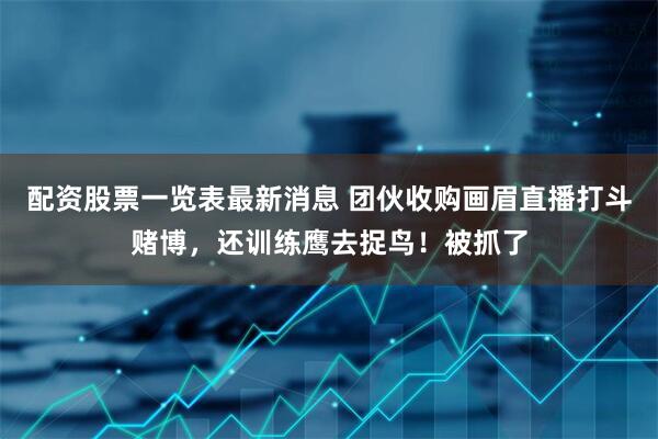 配资股票一览表最新消息 团伙收购画眉直播打斗赌博，还训练鹰去捉鸟！被抓了